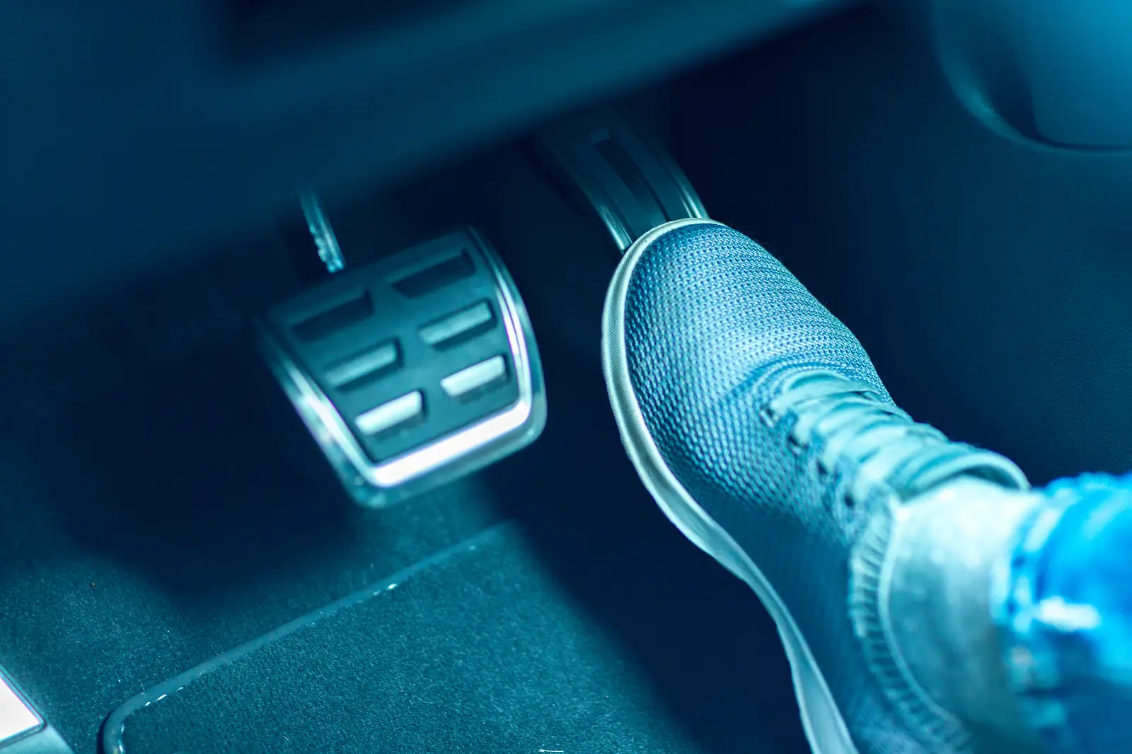 실전 루트 완성과 자립 준비